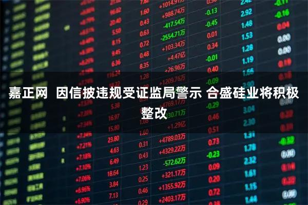 嘉正网  因信披违规受证监局警示 合盛硅业将积极整改